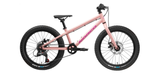 Велосипед 20" Norco Storm 20 Disc (2023) pink/purple