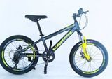 Дитячий велосипед 20&rsquo;&rsquo; Corso &laquo;CRANK&raquo; CR-20699 рама сталь, дискові гальма, обладнання Shimano Revoshift 7 шв. сірий