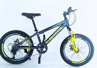 Дитячий велосипед 20&rsquo;&rsquo; Corso &laquo;CRANK&raquo; CR-20699 рама сталь, дискові гальма, обладнання Shimano Revoshift 7 шв. сірий