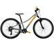 Велосипед Trek Precaliber 24 8-speed Suspension сірий