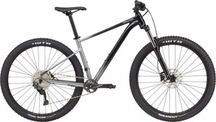 Велосипед 29" Cannondale Trail SE 4 grey 2022