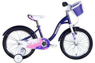 Велосипед детский SPACE KID MELISSA 18", рама-10", сиреневый с корзиной и крыльями 2024
